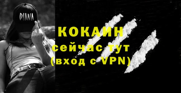 стаф Абаза