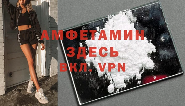 стаф Абаза