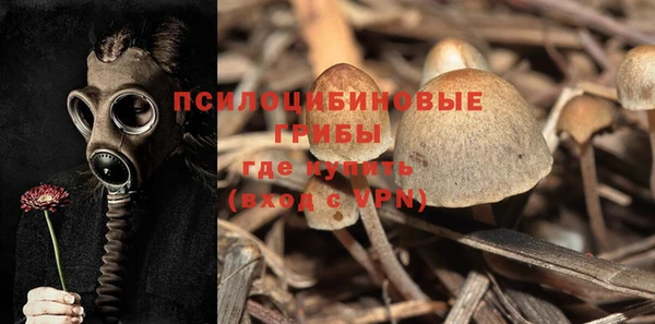 стаф Абаза